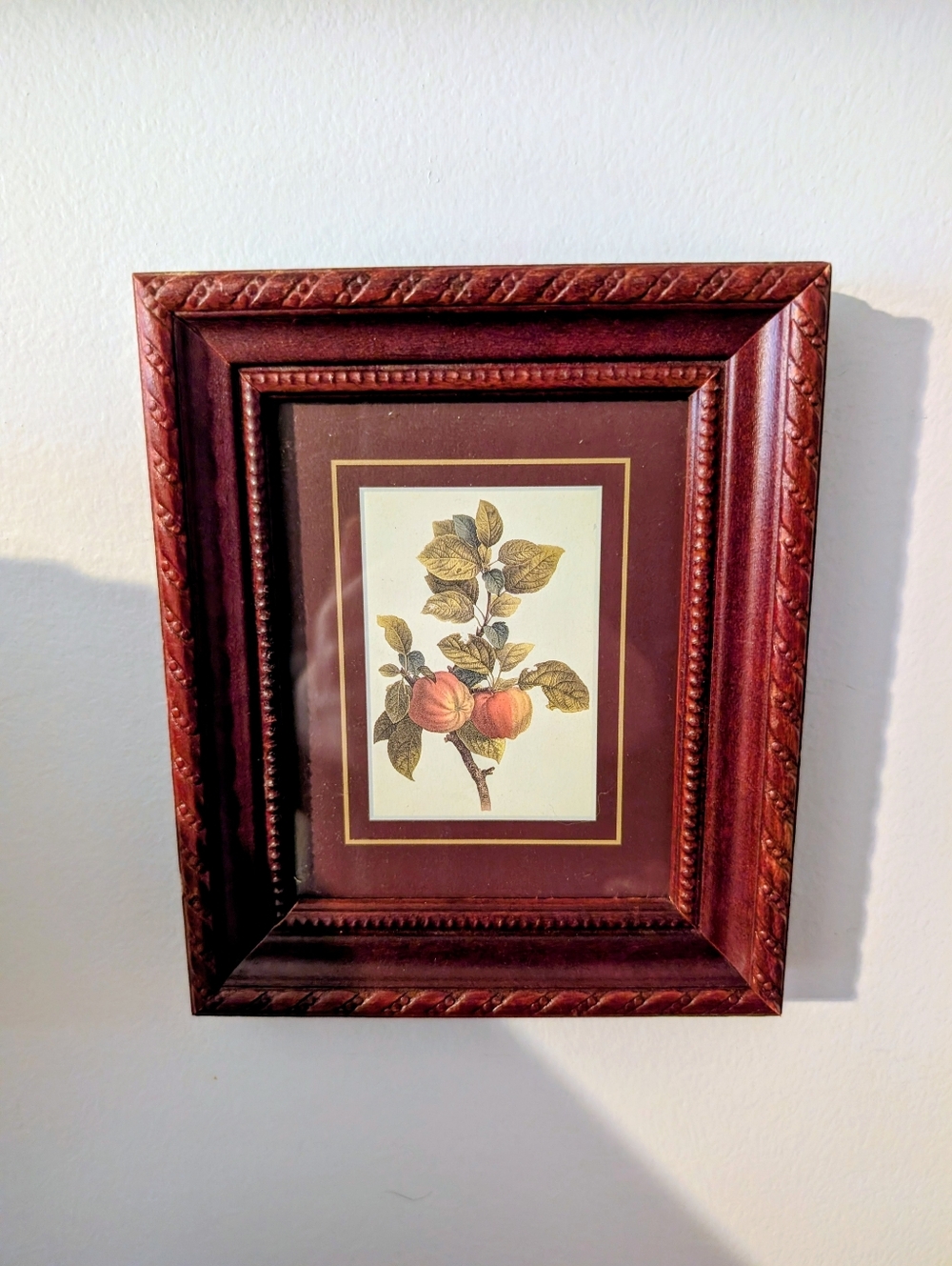 Dark Wood Picture Frame with‎ Botanical Apple Print